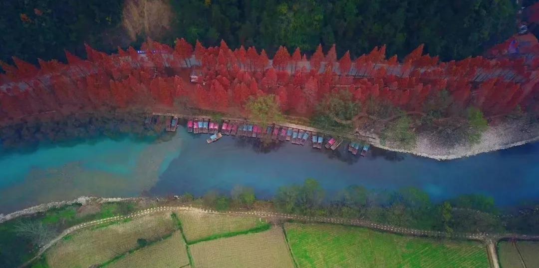 这里是勉县，一个让你流连忘返的地方