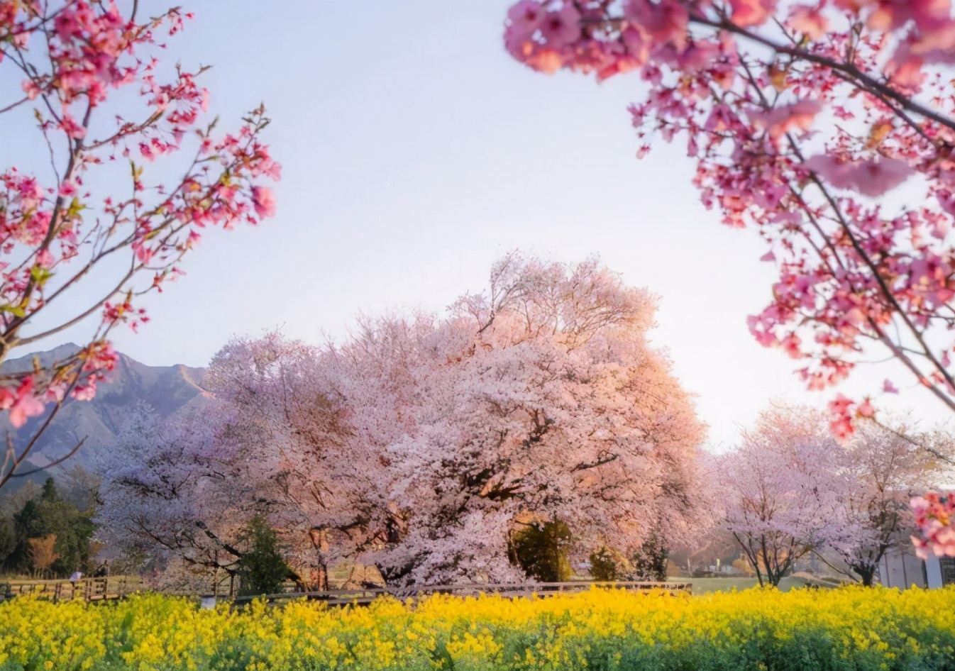 玩转日本东京大阪奈良,日本关东自由行旅行攻略