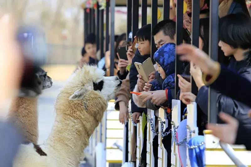 免费！半价！坐山东高铁环形列车，这些景区凭车票统统享优惠！