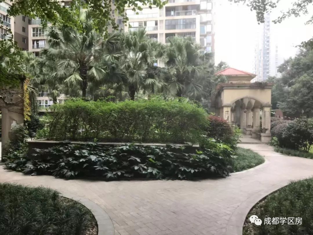 和泡小非常像的一个分校之最全盘点！​