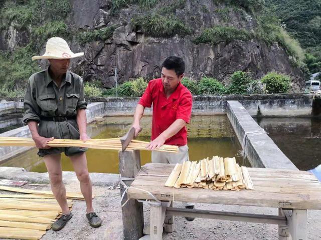 双11最“奇葩”卖家：200元一桶求童子尿，背后深藏感人故事