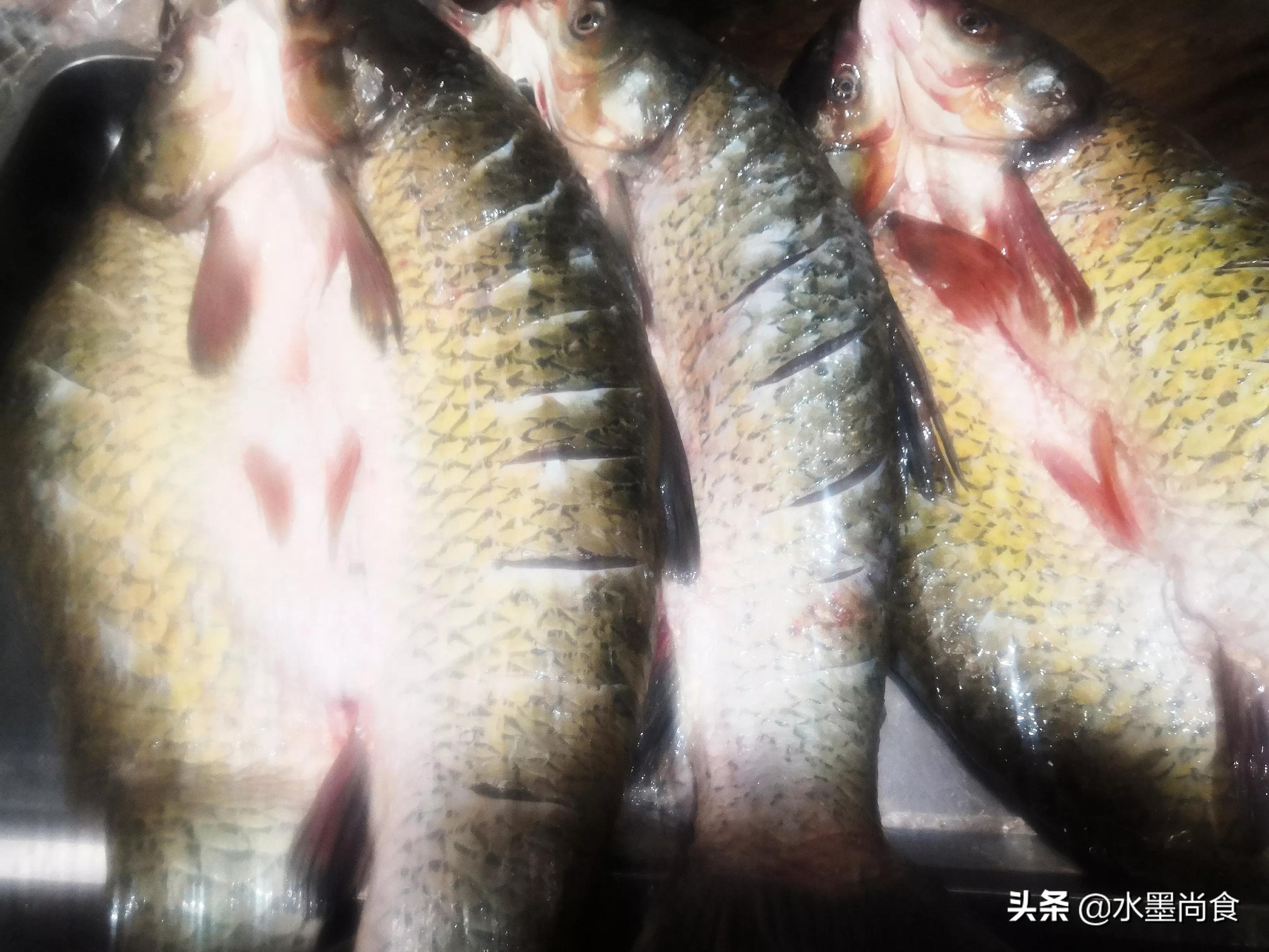 腌腊鱼要不要去除鱼鳞,腌制腊鱼的正确方法