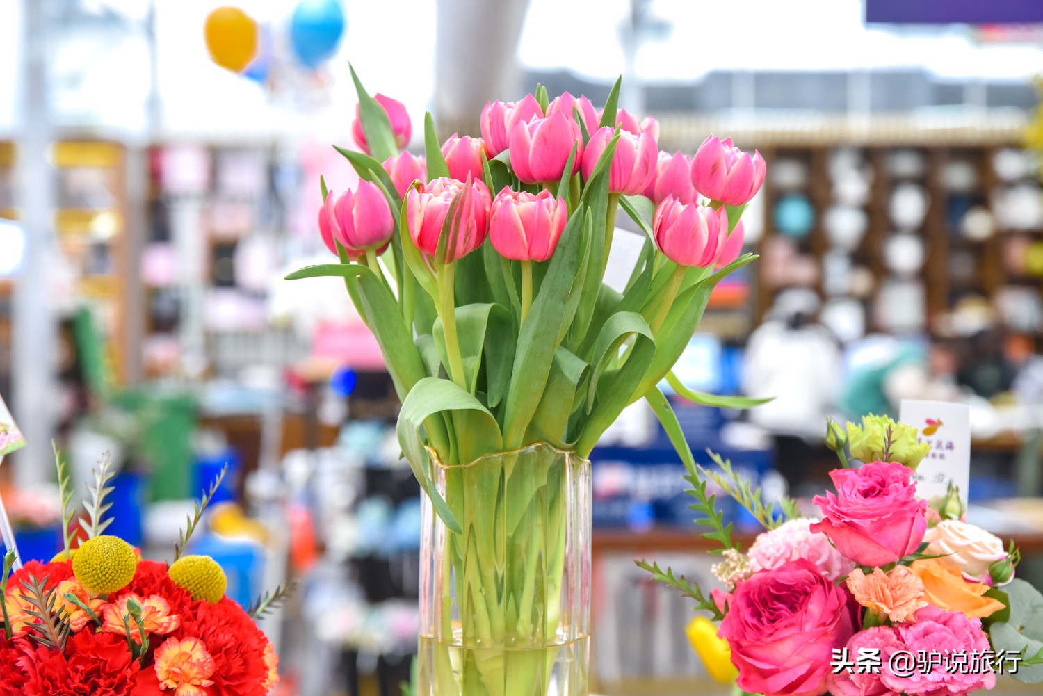 郁金香中国,中国郁金香第一花海