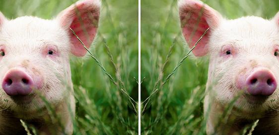 ps命令大全及快捷键抠图,ps复制快捷键命令