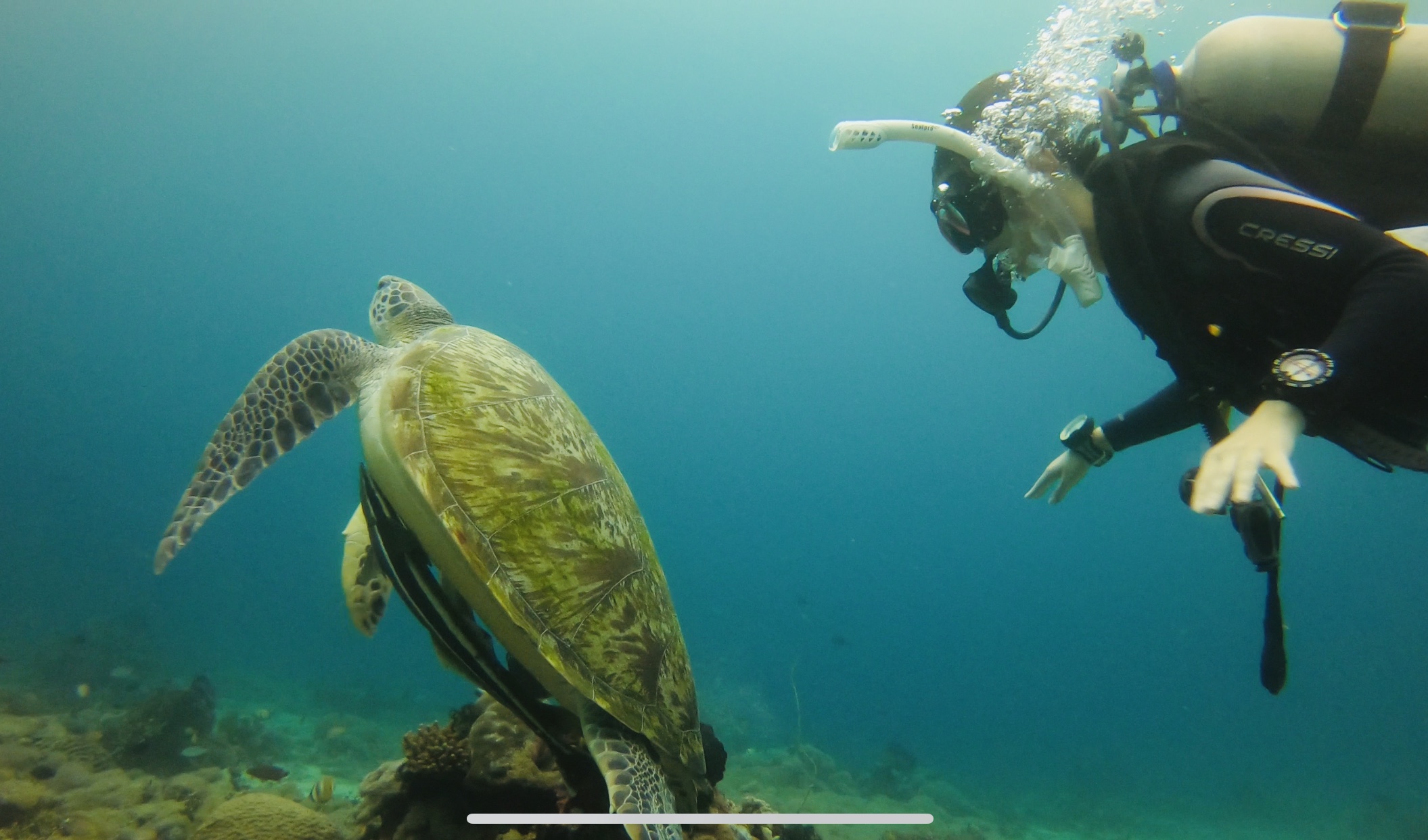 永远难忘的2015年菲律宾之旅,菲律宾之旅19年10月