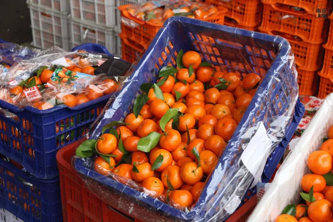 众彩物流公司年货,众彩物流年货大集