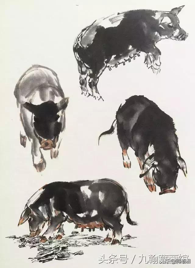 国画工笔猪图片,大写意画猪国画作品
