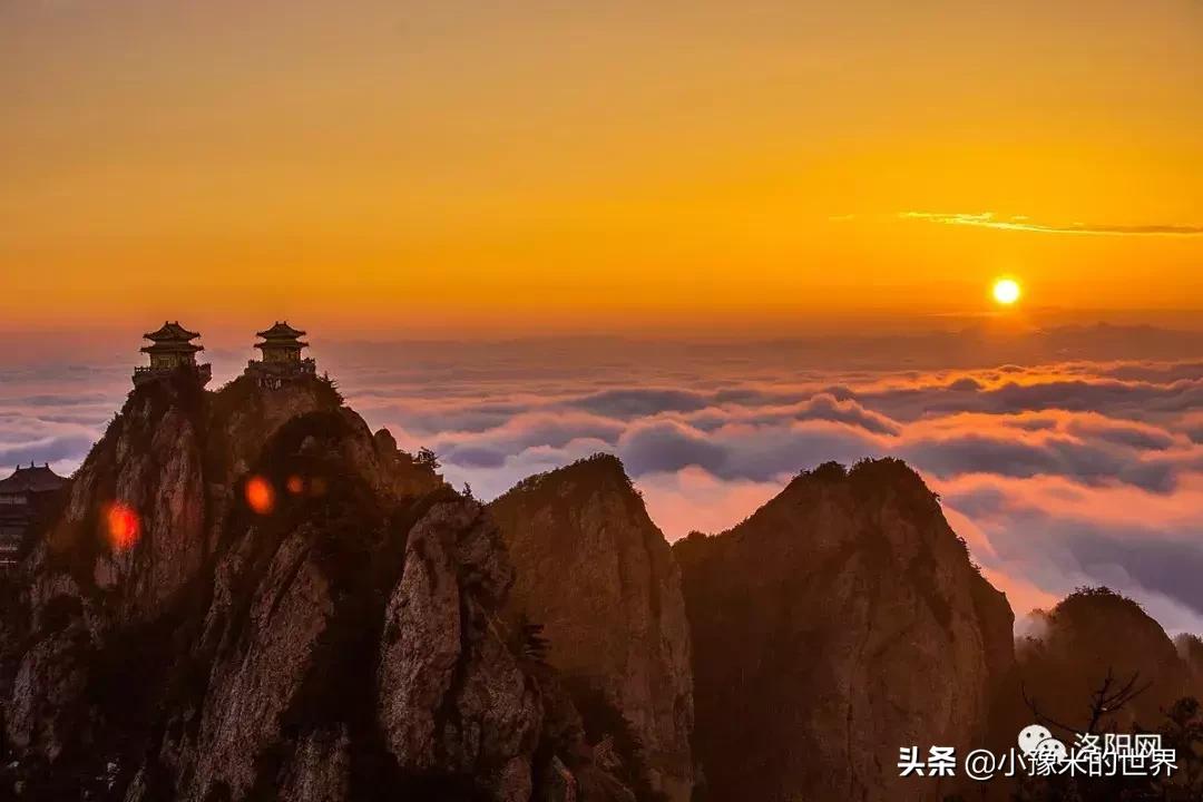 河南洛阳发布最新通知,洛阳牡丹花会向全世界发出邀请