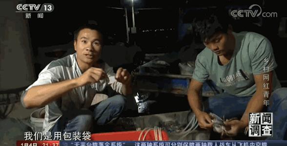 “渔人阿烽”上央视，讲述西瓜视频赶海创作者的成长史