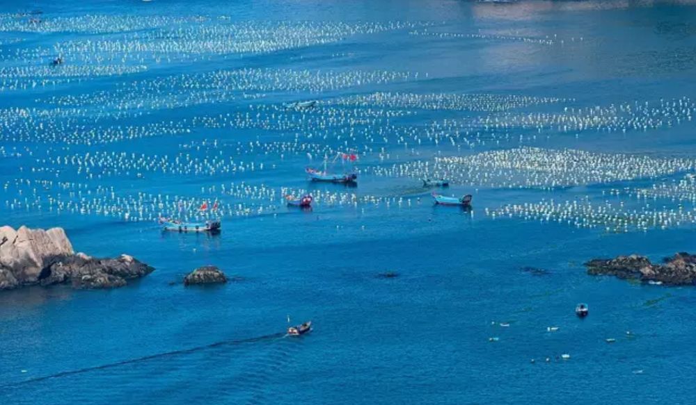 三亚和青岛旅游哪里好,三亚和青岛哪个好玩