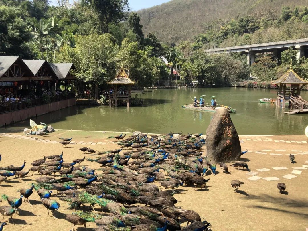 中老昆万铁路即将通车,中老昆万铁路隧道全线贯通