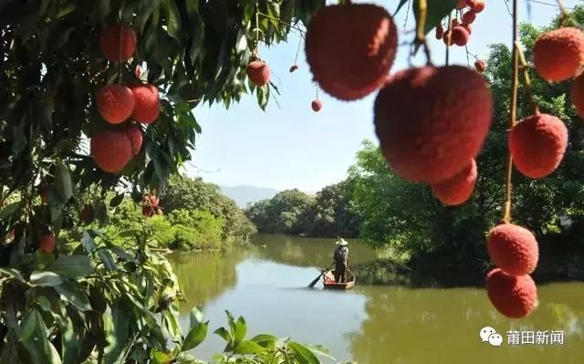 爱你没商量直播吗,爱你没商量海南