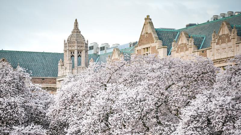 爱丁堡大学计算语言学硕士申请,华盛顿大学统计专业研究生怎么样