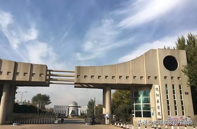 中国医学院每日一校,每日一校沈阳药科大学