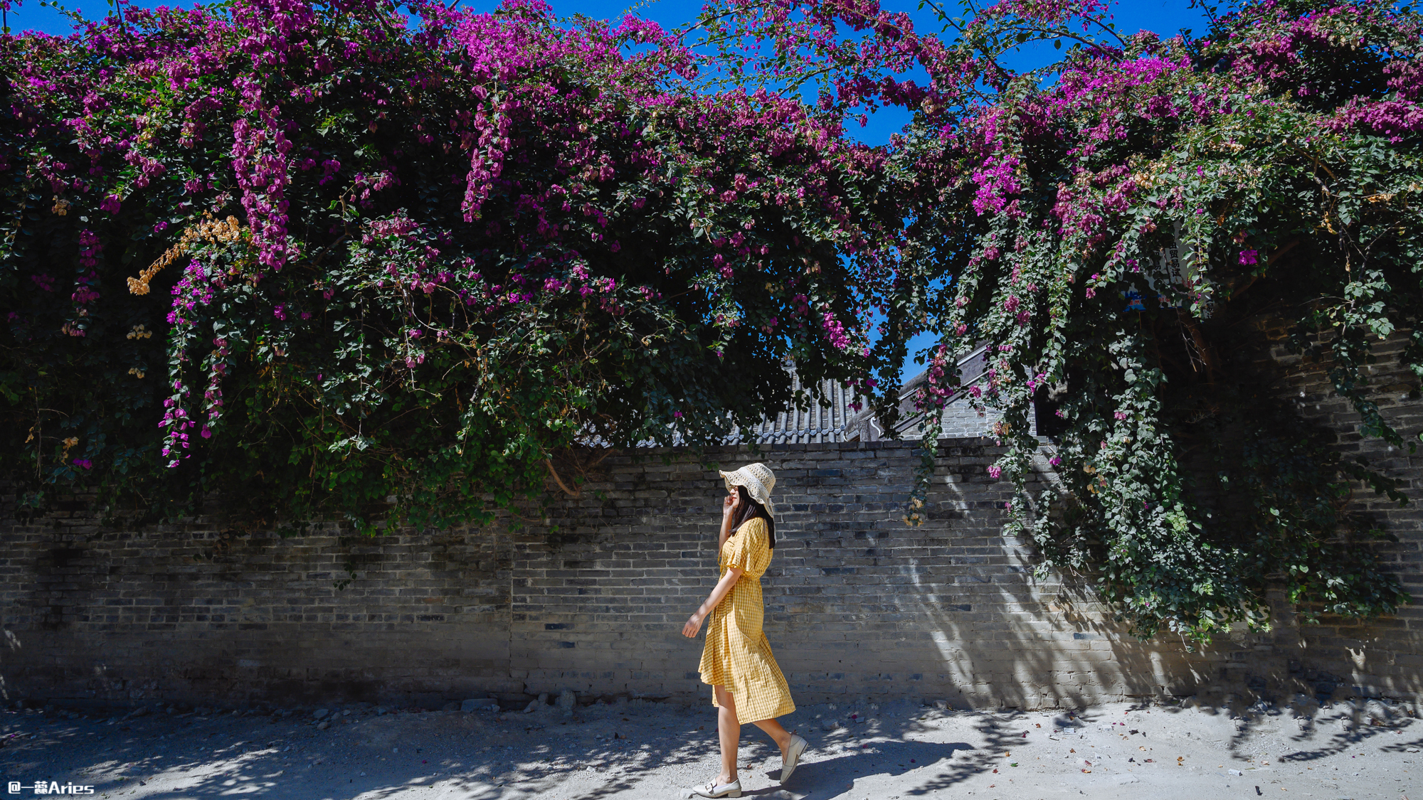 三亚旅游业恢复正常了吗,三亚旅游业恢复到旺季的火爆视频