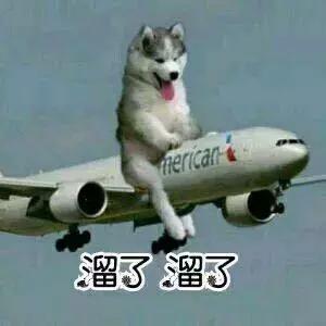 便宜的大牌从哪里进货,便宜的大牌到底在哪买