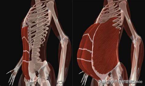 产后妈妈肚子下不去,产后妈妈瘦不下来怎么回事