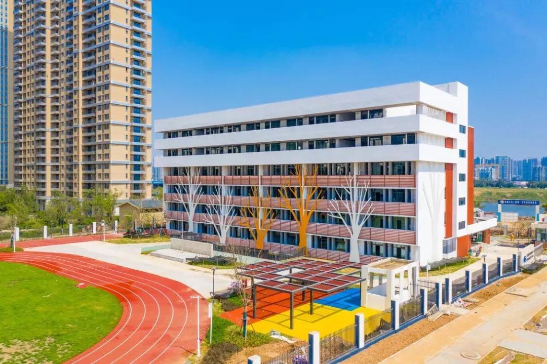 华丽转身！全面开挂！2020年这个区域涅槃重生！走上人生巅峰