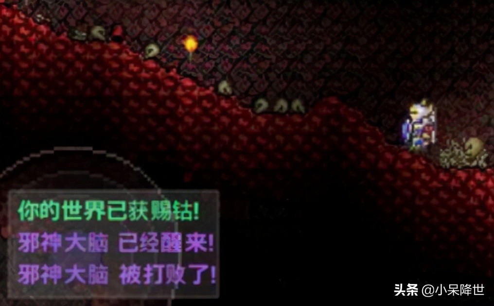 泰拉瑞亚boss肉山后召唤物怎么做,泰拉瑞亚打完肉山后该打什么boss