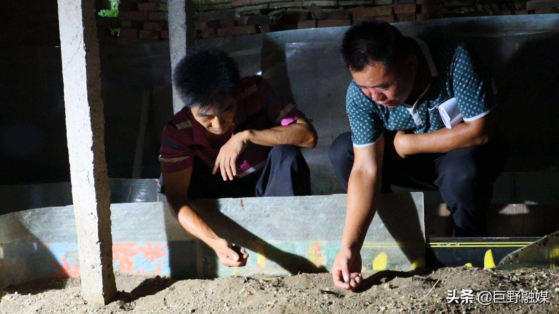 土鳖子怎么养殖,土鳖子养殖多长时间可以有收益