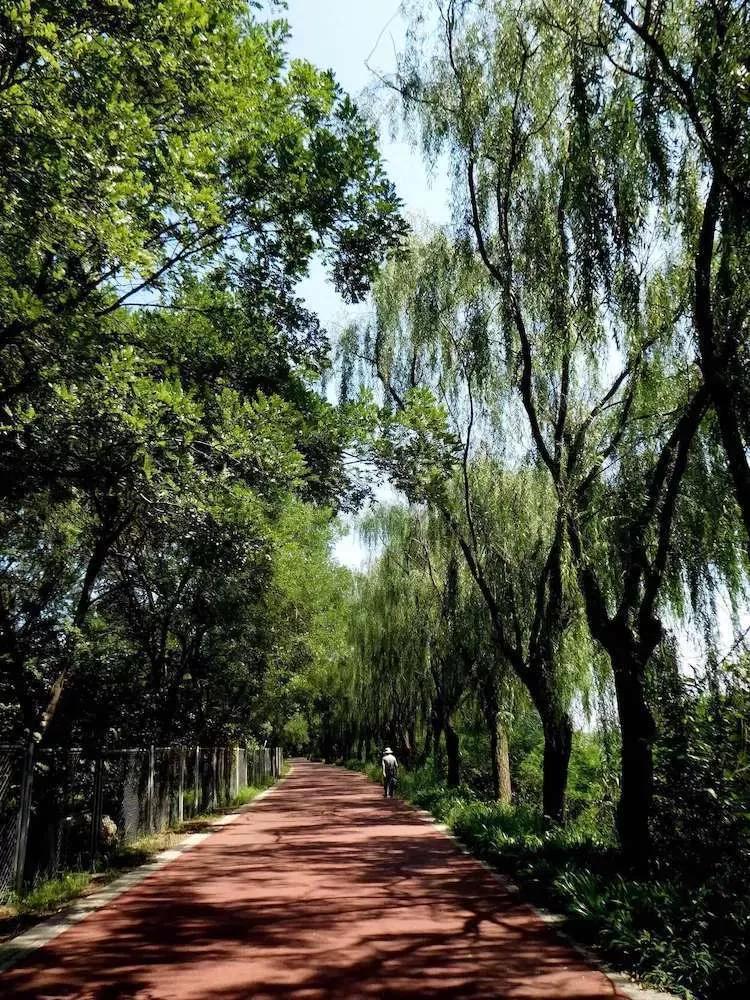 北京独门独院小四合院出售,北京四合院单身公寓