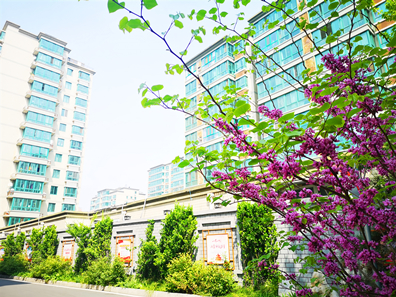 通州梨园今年再为10条背街小巷“美颜”以便民利民为重点，预计6月进场施工