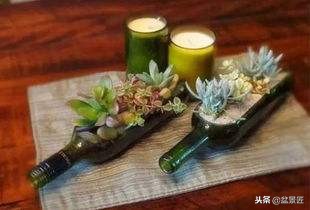 废物改造花盆绿植,旧物改造吊兰花盆