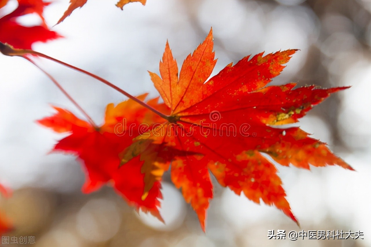 情志不畅想吐怎么办,情志失调引起的胃不舒服
