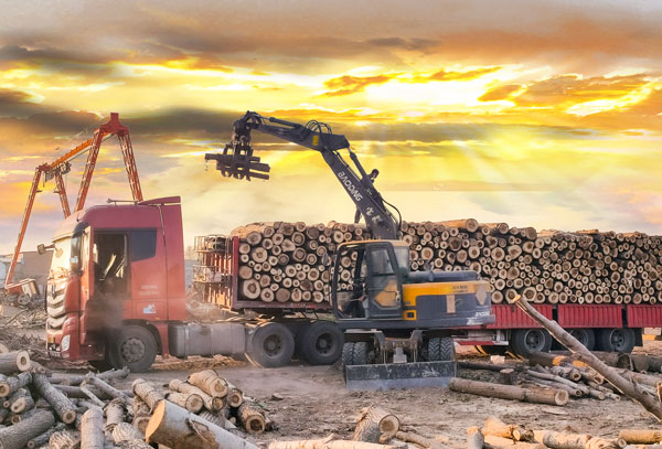 挖掘机抓木机和抓钢机有什么区别,轮式挖掘机抓木机徐工