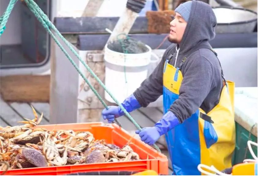 中国人不出门全世界会怎样,中国去哪的机票便宜