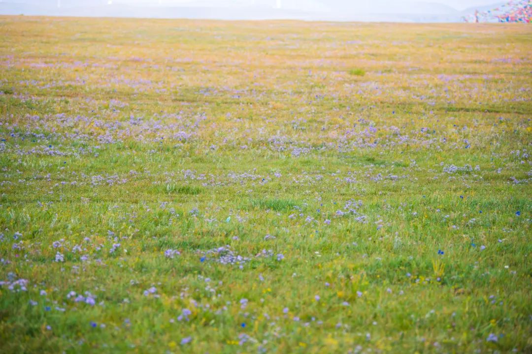 夏天去避暑穿什么,夏天要去哪里避暑