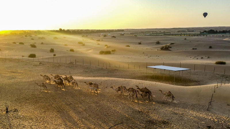 从天空到海洋到大地的视频,从天空到海底绘本