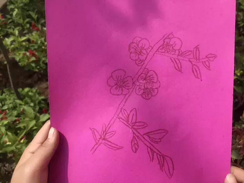 【益西户外营地教育】金川第六小学野狐湾自然研学营圆满结束！