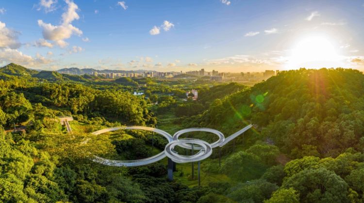 不离深,深圳高颜值绿道推荐一日游正好