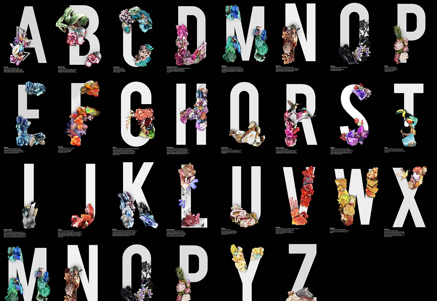 ps瀛椾綋璁捐logo璁捐,logo瀛椾綋璁捐ps