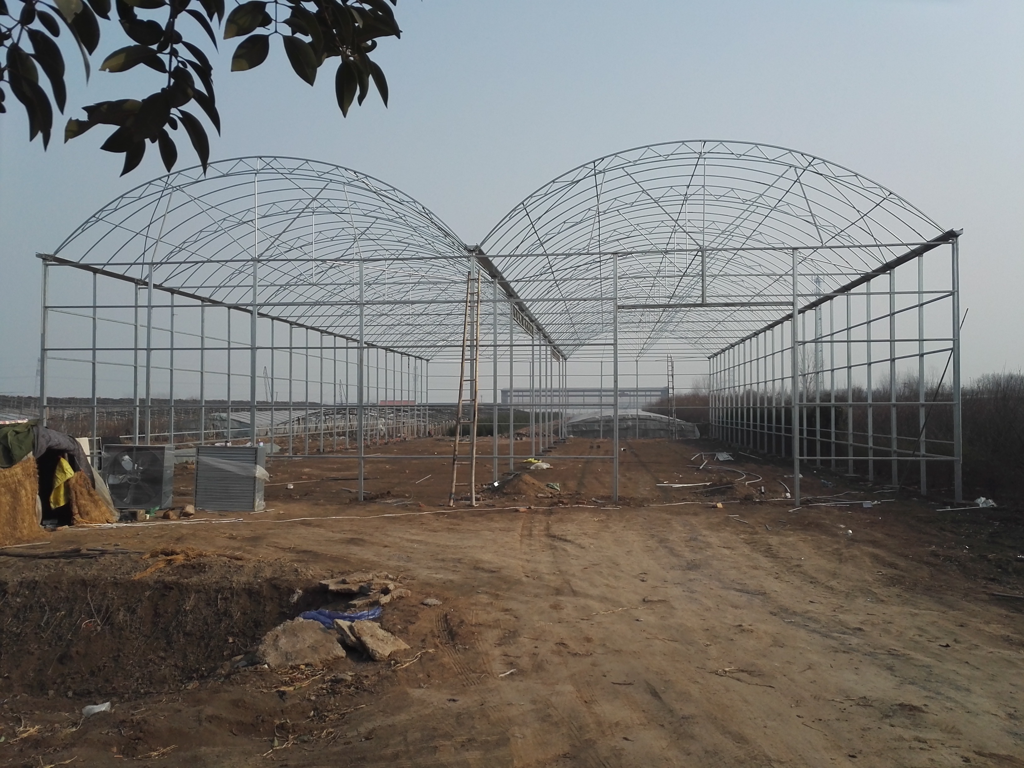 目前温室大棚的缺点,温室大棚如何发展