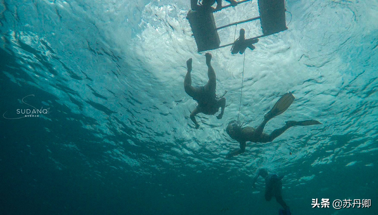 极限潜水死亡名单,潜水的死亡率高