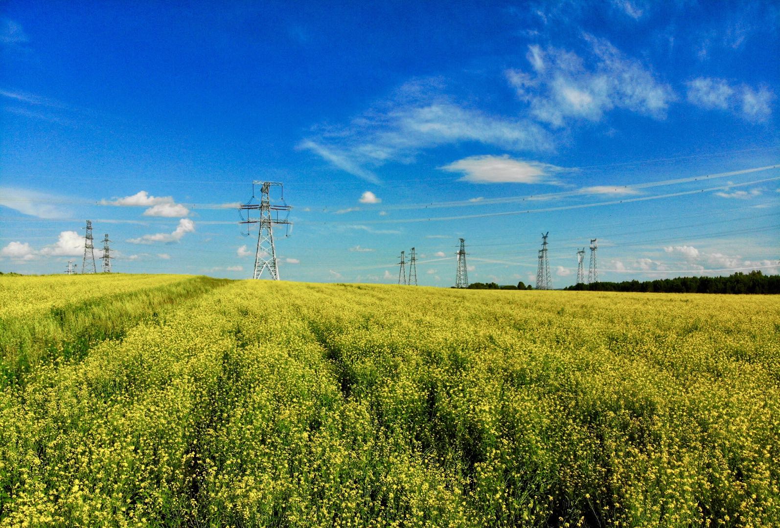 中国夏天最适合避暑城市,夏天热去哪里旅游避暑最好