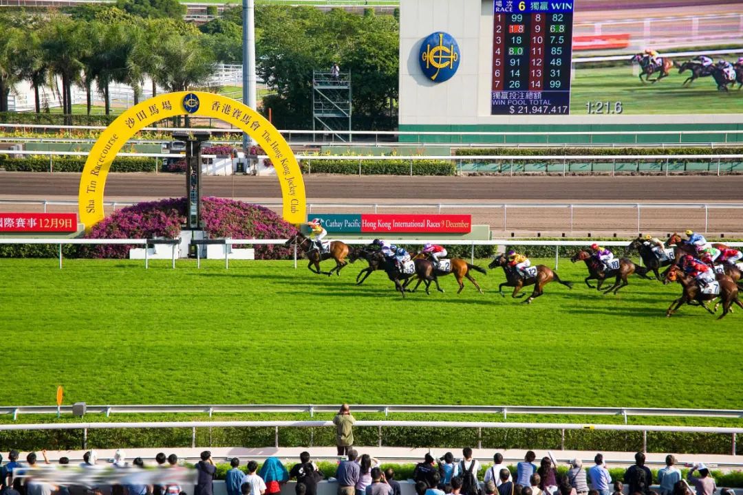 香港赛马会介绍,香港赛马会沙田马场