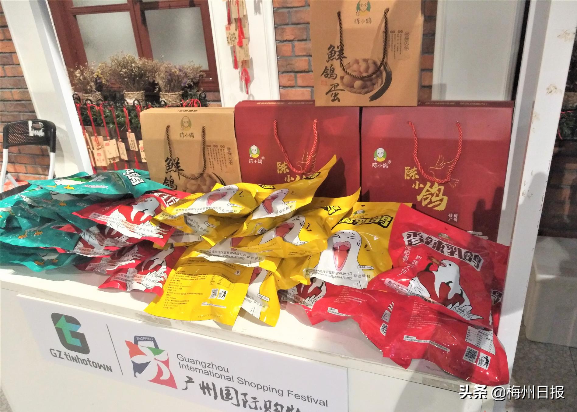 咕咕咕鸽子,咕咕咕的小鸽子