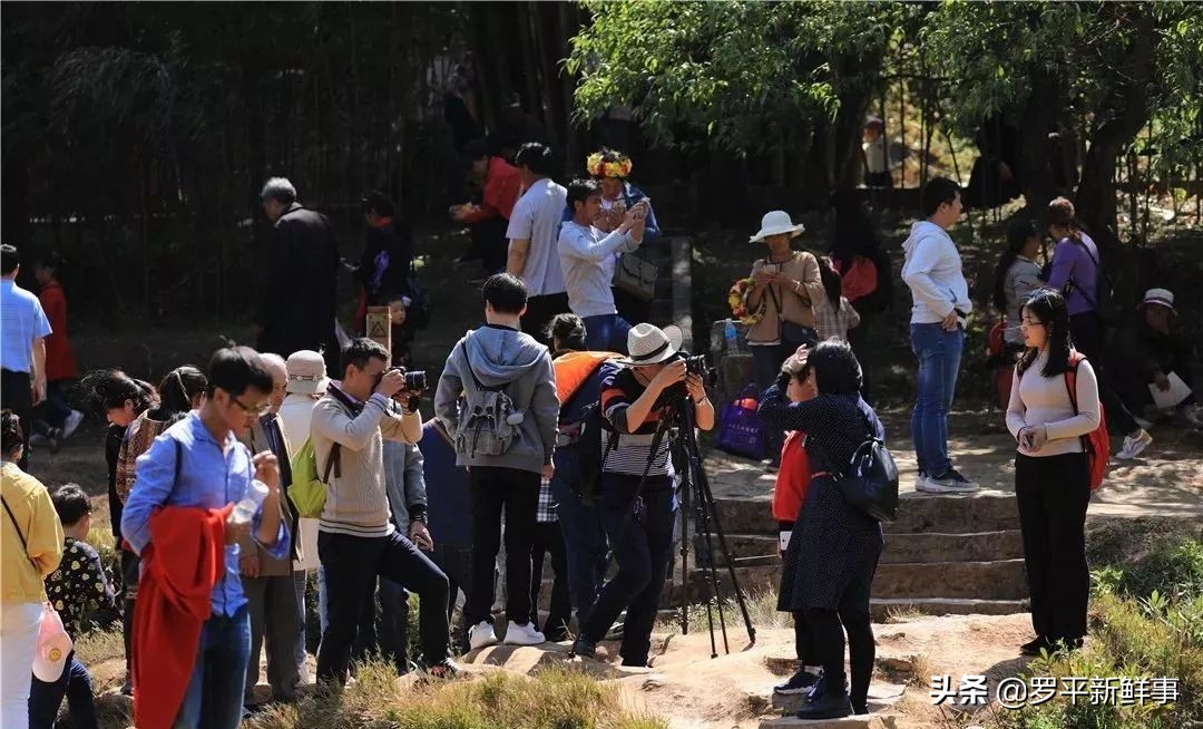 等你！初春九龙瀑布灵动秀美、温婉可亲！