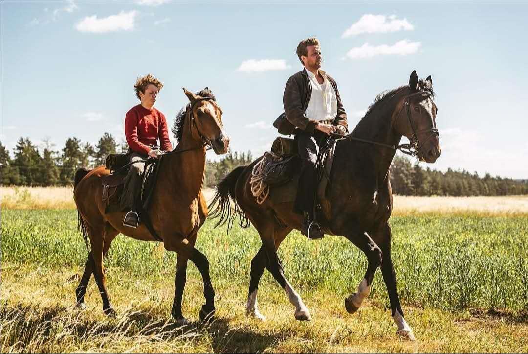 禁忌的孽缘，诠释欲望与痛苦的繁衍