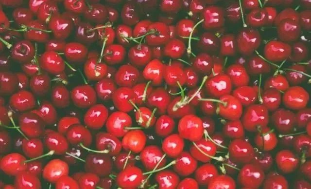 西安周边现在哪的樱桃成熟,西安摘樱桃好去处有哪些