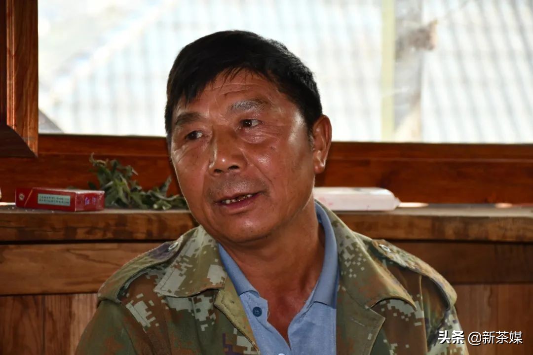 南糯山茶叶的故事,南糯山茶厂视频