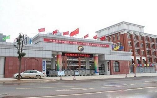 长沙最好的小学和初中是不是以下这些