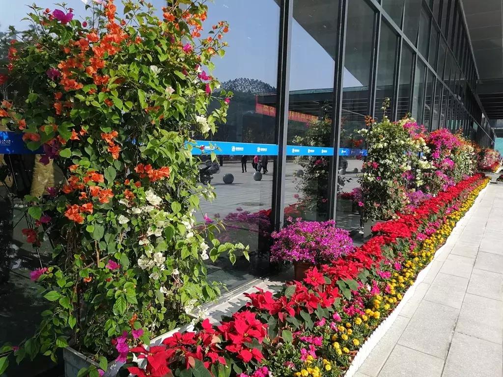 西江机场通航时间表,西江机场各航线逐步恢复