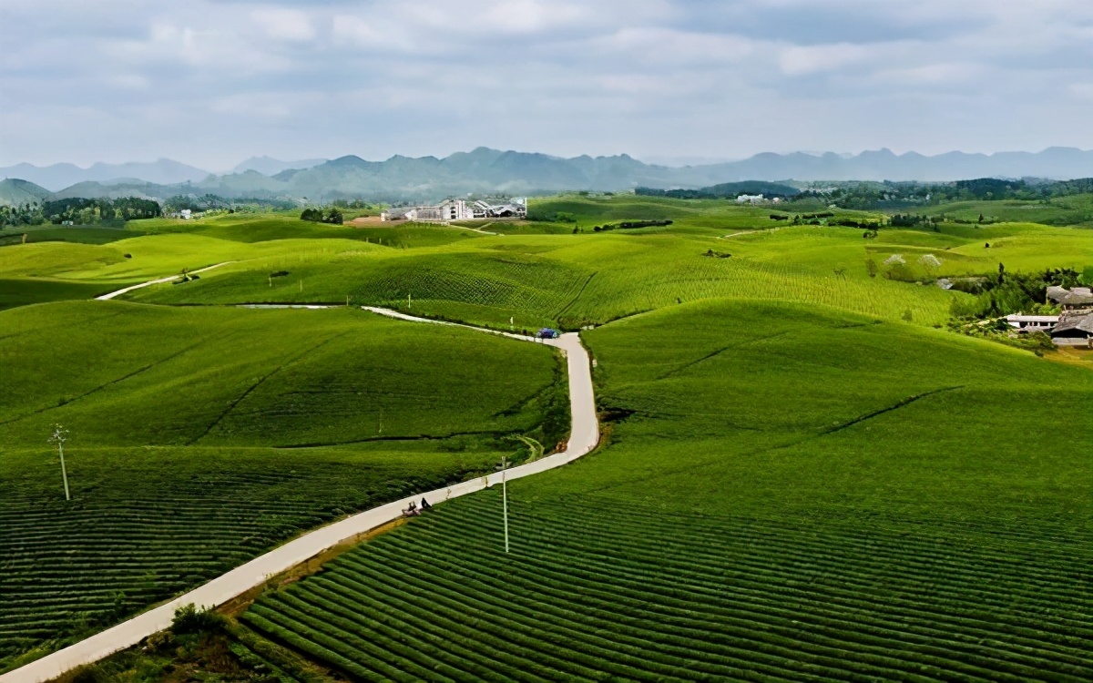 贵州遵义的a级景区有哪些,贵州遵义5a级旅游景点