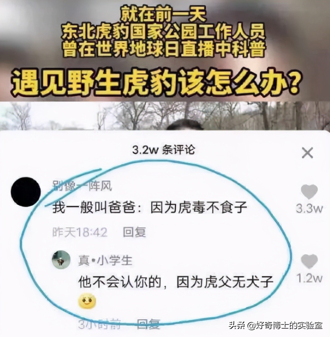 手机进水放米缸是什么原理,手机进水放进米缸有用吗