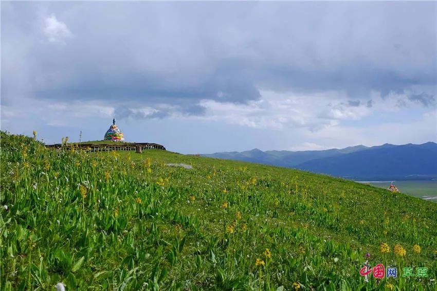 大梅看草原丨盛夏的甘南玛曲，美得脱俗惊艳