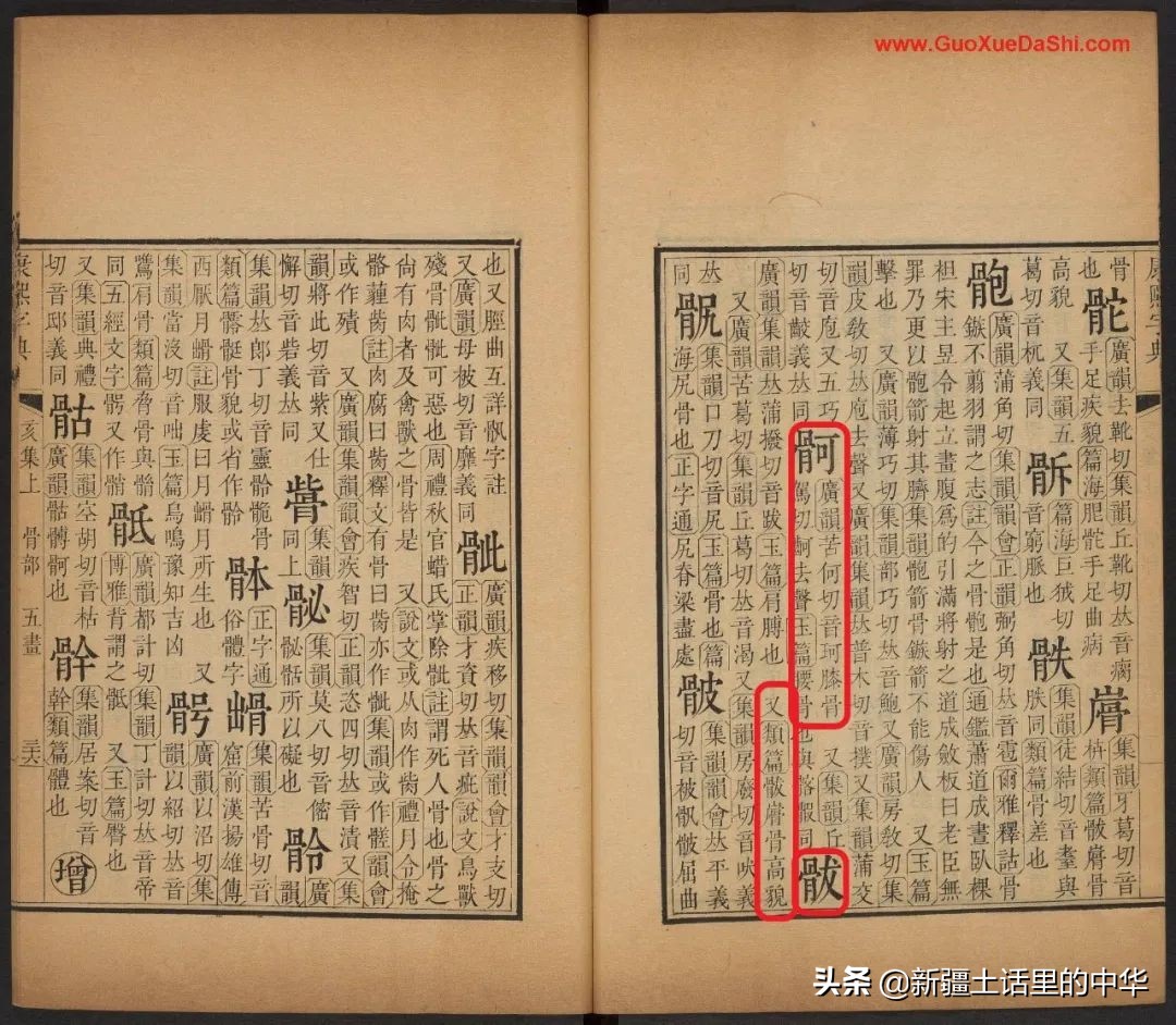 精肚子，精尻子，精脚片子、䯋膝盖子、脚把骨、尻蛋子